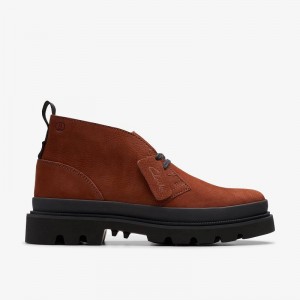 Clarks Badell Desert Boot Marroni | CLKS-84574