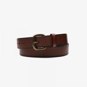 Clarks Casual Belt Marroni | CLKS-84203