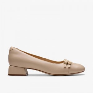 Clarks Daiss 30 Court Marroni | CLKS-85023