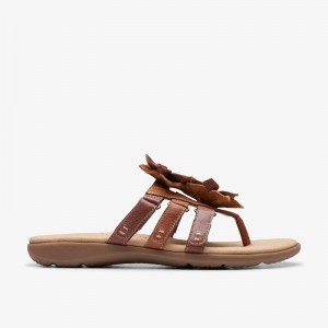 Clarks Elizabelle Mae Marroni | CLKS-84967