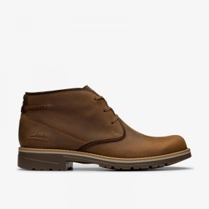 Clarks Morris Peak Marroni | CLKS-84600