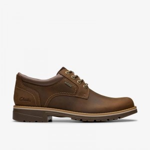 Clarks Morwell Plain Marroni | CLKS-84438
