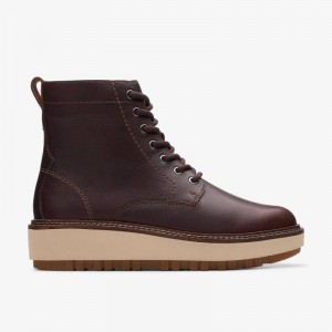 Clarks Orianna Lace Marroni Scuro | CLKS-85568