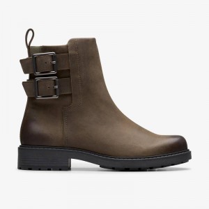 Clarks Orinoco2 Bay Grigie | CLKS-85491