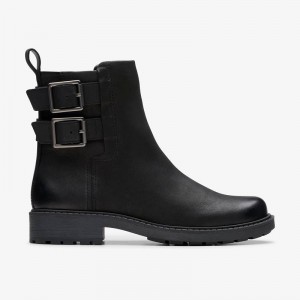 Clarks Orinoco2 Bay Nere | CLKS-85490
