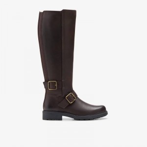 Clarks Orinoco2 Tall Marroni Scuro | CLKS-85480