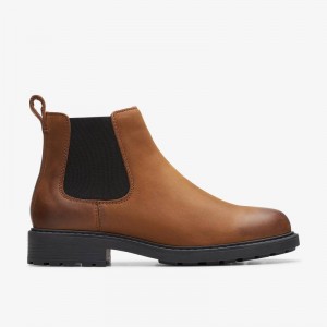 Clarks Orinoco 2 Lane Marroni | CLKS-85572