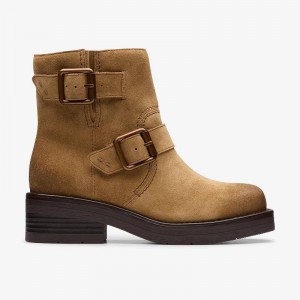 Clarks Rebelle Buckle Marroni | CLKS-85517