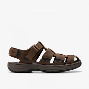 Clarks Saltway Cove Marroni Scuro | CLKS-84217