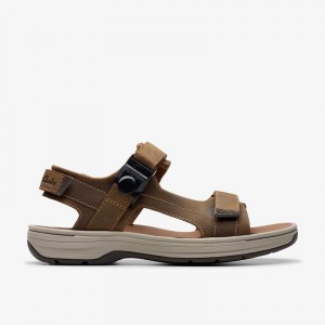 Clarks Saltway Trail Marroni Chiaro | CLKS-84218