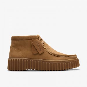 Clarks Torhill Moss Marroni Chiaro | CLKS-85485