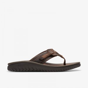 Clarks WESLEY SUN Marroni | CLKS-84214