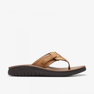 Clarks WESLEY SUN Marroni | CLKS-84215