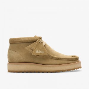 Clarks Wallabee Scout Marroni Scuro | CLKS-85607