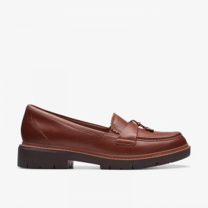 Clarks Westlynn Bella Marroni | CLKS-84869